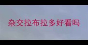 杂交拉布拉多好看吗