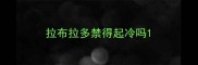 拉布拉多禁得起冷吗