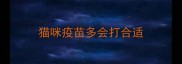 猫咪疫苗多会打合适
