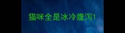 猫咪全是冰冷腹泻