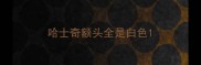 哈士奇额头全是白色