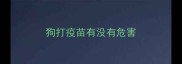 狗打疫苗有没有危害
