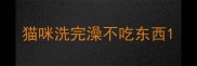 猫咪洗完澡不吃东西