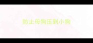 防止母狗压到小狗