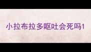 小拉布拉多呕吐会死吗
