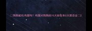 狗狗能吃鸡蛋吗鸡蛋对狗狗的10大好处和3大禁忌全