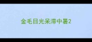金毛目光呆滞中暑