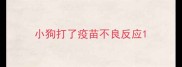 小狗打了疫苗不良反应