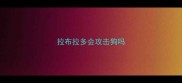 拉布拉多会攻击狗吗