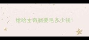 给哈士奇剃要毛多少钱