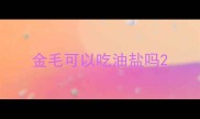 金毛可以吃油盐吗