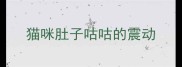 猫咪肚子咕咕的震动