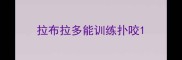 拉布拉多能训练扑咬
