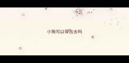 小狗可以带出去吗