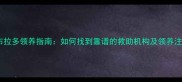 最新拉布拉多领养指南如何找到靠谱的救助机构及领养注意事项