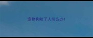 宠物狗咬了人怎么办