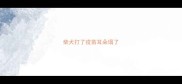 柴犬打了疫苗耳朵塌了