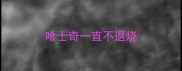 哈士奇一直不退烧