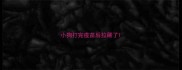 小狗打完疫苗后拉稀了
