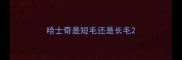 哈士奇是短毛还是长毛