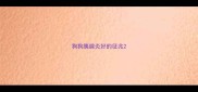 狗狗胰腺炎好的征兆