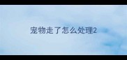 宠物走了怎么处理