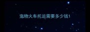 宠物火车托运需要多少钱