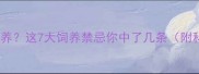 哈士奇不能随便养这7大饲养禁忌你中了几条附科学养宠指南