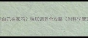 边牧犬能自己在家吗独居饲养全攻略附科学管理方案