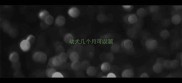 幼犬几个月可以溜