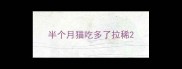 半个月猫吃多了拉稀