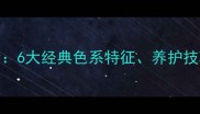哈士奇毛色全6大经典色系特征养护技巧与品种标准