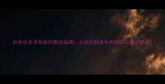 拉布拉多犬年龄判断全指南从幼犬到老年的特征与养护要点