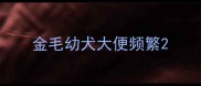 金毛幼犬大便频繁