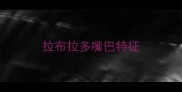 拉布拉多嘴巴特征