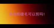 泰迪眼睫毛可以剪吗