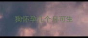 狗怀孕几个月可生