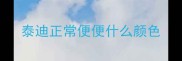 泰迪正常便便什么颜色