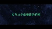 拉布拉多最奢侈的狗窝