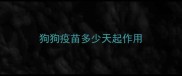 狗狗疫苗多少天起作用