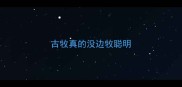 古牧真的没边牧聪明