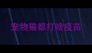 宠物猫都打啥疫苗