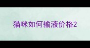 猫咪如何输液价格