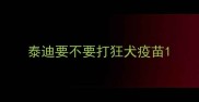 泰迪要不要打狂犬疫苗