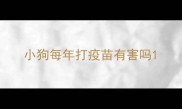 小狗每年打疫苗有害吗