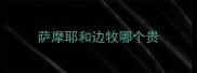 萨摩耶和边牧哪个贵