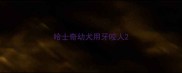 哈士奇幼犬用牙咬人