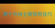 两个月哈士奇饲养技巧