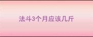 法斗3个月应该几斤