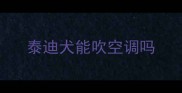 泰迪犬能吹空调吗